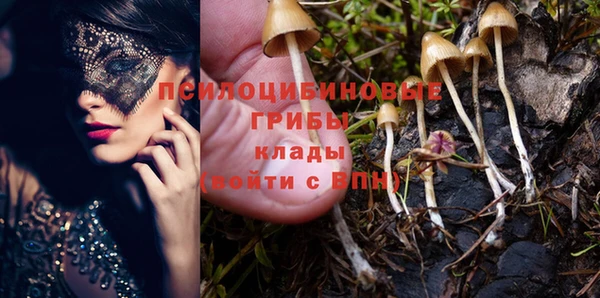 спайс Дмитриев